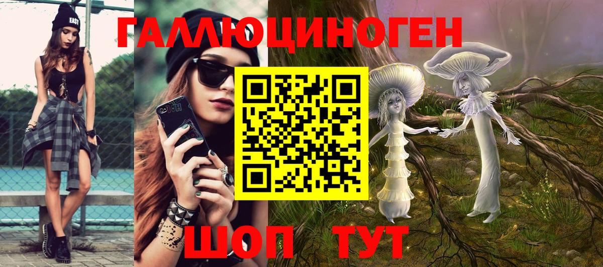 Галлюциногенные грибы Psilocybe Гусиноозёрск