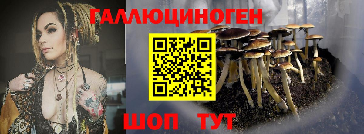 Псилоцибиновые грибы ЛСД  Вход с VPN  Гусиноозёрск 
